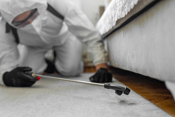 Professional Termite Control technician working in Pineville, LA