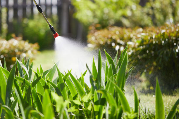 24/7 Emergency Termite Control experts in Pineville, LA
