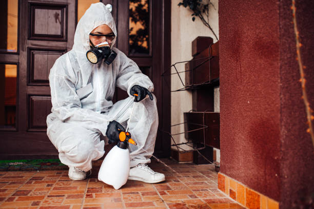 Reliable Termite Control contractor in Pineville, LA by Nex Pest Control