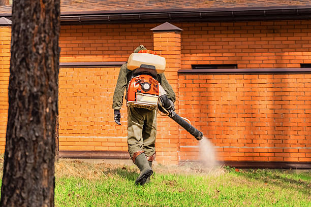 Top rated local Termite Control specialists in Pineville, LA